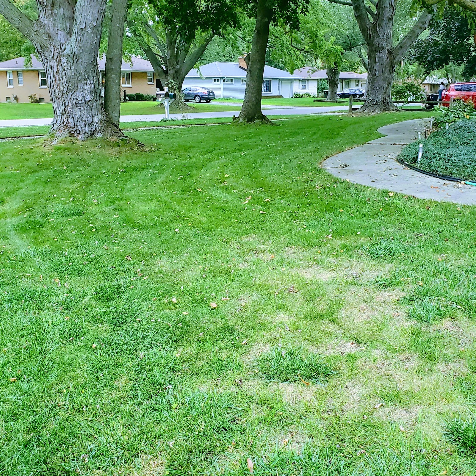 Ab3'slandscaping in Holland