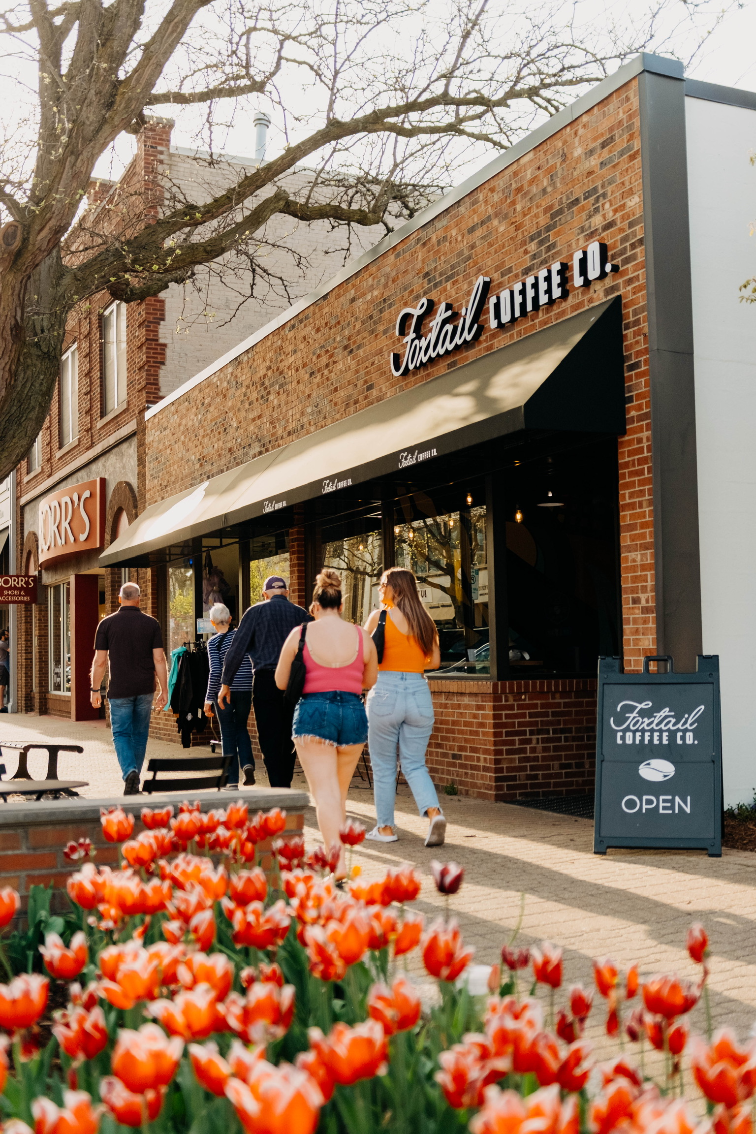 Foxtail Coffee Downtown Holland — photo