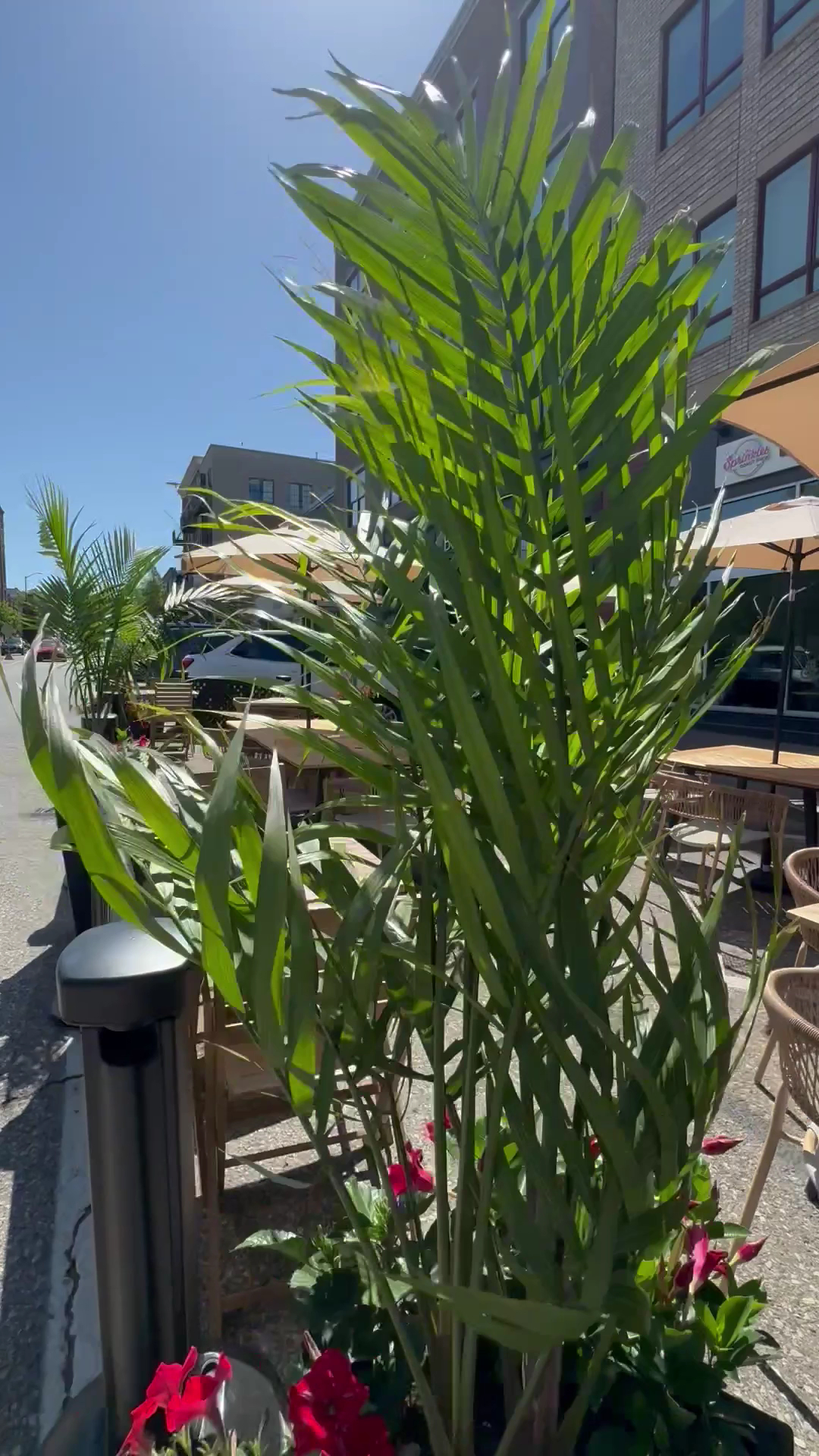 Best Patios for a Summer Evening