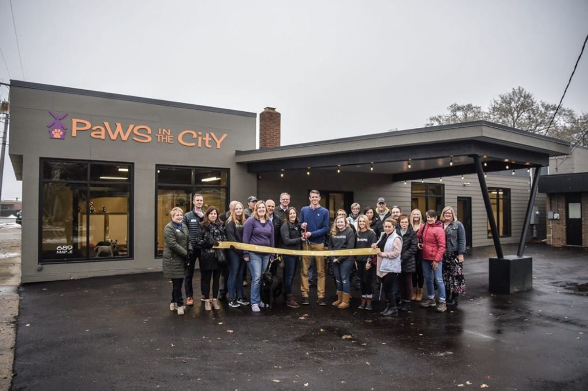 Paws in the City — photo